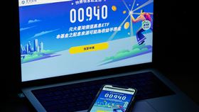 00940募集最終日（1）元大台灣價值高息ETF（00940）掀起全民搶購風潮，15日為募集最後一天，暫訂4月1日將掛牌上市，因申購量能過於龐大，近日引發業者罕見出面提醒風險，試圖降溫。中央社記者翁睿坤攝　113年3月15日