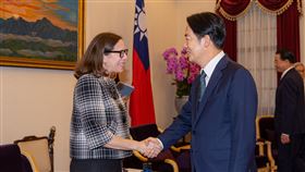 賴清德接見美國在台協會主席羅森伯格（1）副總統賴清德（前右）1日下午在總統府接見美國在台協會（AIT）主席羅森伯格（Laura Rosenberger）（左）一行，兩人握手致意。中央社記者鄭清元攝  113年4月1日