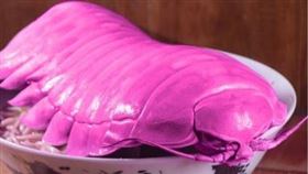 （圖／翻攝自拉麵公子臉書）