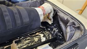 20240401澳女攜毒闖關(航警局提供)