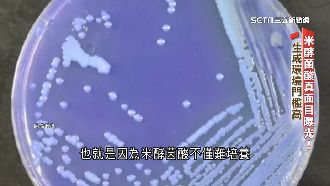 米酵菌酸真面目曝光！獨家直擊實驗室檢測