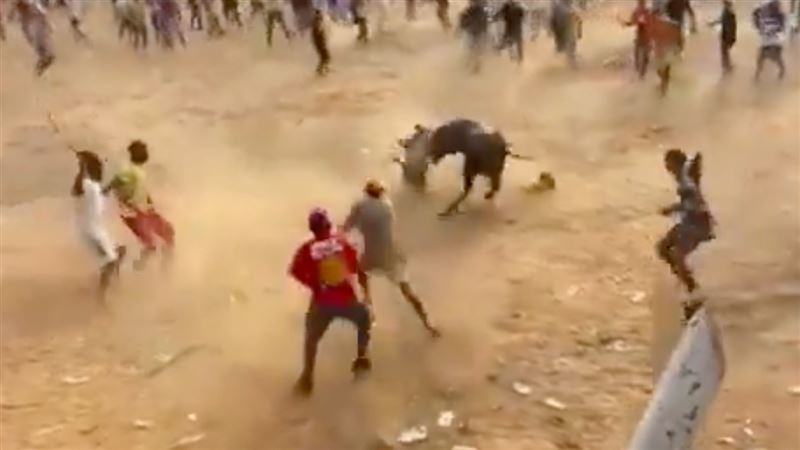 公牛發狂暴衝！鬥牛節淪血腥大逃亡奪2命