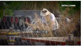 ▲清明除了要掃墓，也要記得拜神祖牌。（示意圖／三立新聞網）