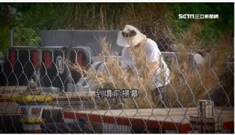 金門古蹟驚傳遭盜掘！積水退去揪出元凶