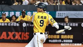 ▲中華職棒35年中信兄弟主場開幕戰，三壘手王威晨敲安，江坤宇跑回追平分。（圖／記者劉彥池攝影）