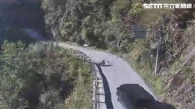 中橫,地震,中橫便道,落石