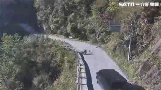 中橫強震畫面曝光　駕駛見落石雨急速倒車