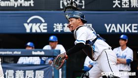 ▲中華職棒35年，富邦悍將捕手戴培峰。（圖／記者劉彥池攝影）