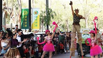 頑皮世界最萌羊駝見客　6明星炫技超吸睛