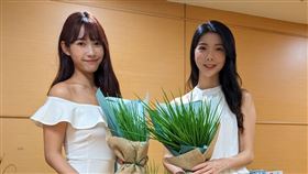 平溪,新北,珠蔥,攝影比賽,住宿券,