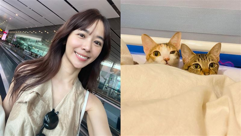 康老師救貓喪生　她認了：可能也會這樣做