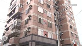 花蓮,地震,山海觀大樓,葉金川,哈佛證書