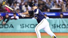 ▲中信兄弟王政順。（圖／中信兄弟提供）