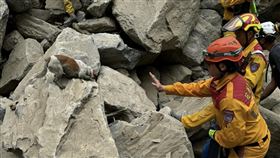 花蓮搜救犬Wilson首度出任務（1）強震重創花蓮，花蓮消防局搜救犬Wilson為傑克羅素梗犬，體型嬌小，這次首度出任務參與砂卡礑步道協尋失聯者，5日先後發現2名罹難者。（花蓮縣消防局提供）中央社記者張祈傳真 113年4月5日