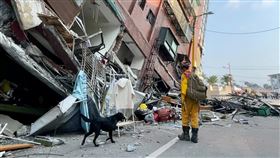 搜救犬與搜救人員（圖／翻攝自社團法人台灣偵搜犬協會臉書）