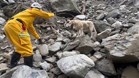 搜救犬Roger找到第3具遺體（圖／翻攝畫面）