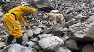 搜救犬找到第3具遺體　來回聞2次原因曝光