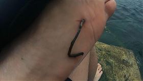 泳客到基隆海興游泳池踩到鐵釘受傷。（圖／基隆市議員張秉鈞提供）