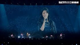 ▲IU演唱會。（圖／讀者提供）