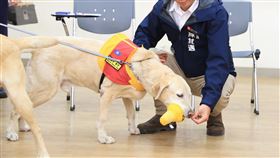 都辛苦了！陳其邁謝特搜英雄、搜救犬　送1玩具秒遭Roger咬爆（圖／翻攝自陳其邁臉書）