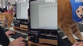 （圖／翻攝自IG）