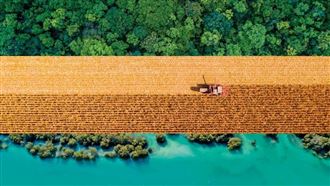 淨零願景的王牌！挖掘台灣碳金庫　搞懂藍綠黃「三色碳」關鍵字