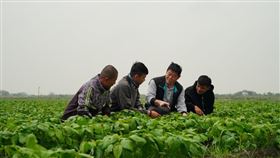 USR是大學的負債還是資產？（圖／遠見雜誌提供）