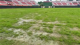 ▲樂天桃園球場外野草皮狀況仍不佳，4月16、17日確定延賽。（圖／中華職棒大聯盟提供）