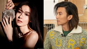 張柏芝、謝霆鋒。（圖／翻攝自張柏芝、謝霆鋒微博）