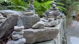 花蓮強震發生至今仍有6人失聯，其中包含2名到太魯閣遊玩的新加坡夫妻，有德國旅客提供事發當天拍攝影片，夫妻2人曾在砂卡礑步道的觀景台，距離五間屋約500公尺處現蹤，當時帶德國旅客遊覽的導遊推測，2人疑在五間屋前遇難。