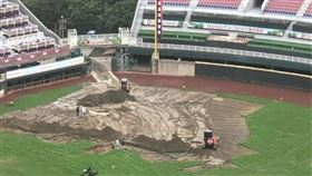 中職,樂天桃猿,桃園棒球場,統一獅,台南棒球場,外野草皮