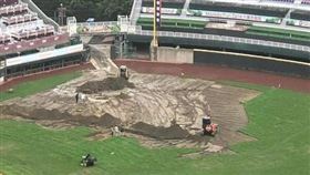▲樂天桃園球場左外野草皮開挖。（翻攝自PTT）