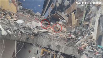 看拆除直播心疼　他幫雞叫外送：記者空投