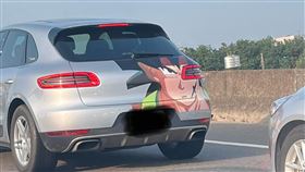 動畫,貼紙,網友,戰鬥力,痛車