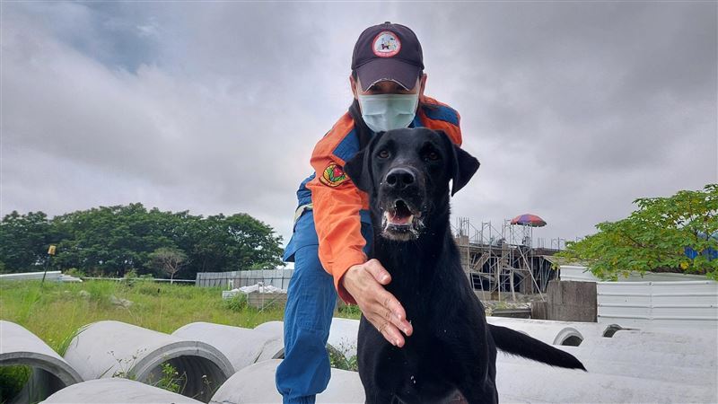 搜救犬經上千小時訓練　遇山豬要無動於衷
