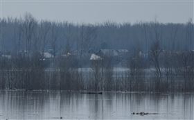 俄羅斯奧倫堡附近的一處鄉村住宅區被河水淹沒。（圖／路透社／達志影像）

