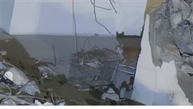 ▲今（10）日清晨「妞妞」現身7樓爬上誘捕籠想吃東西。（圖／翻攝自花蓮新聞網臉書）

