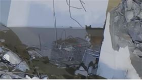 誘捕籠,寵物,貓咪,大樓,網友,花蓮