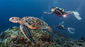 台灣大邀上山下海外景節目主持人,同時也是潛水愛好者雷艾美擔任AI Ocean數據海洋體驗大使。（圖／台灣大哥大提供）