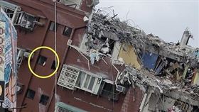 天王星困3貓！愛貓人士出征爆口角　里長無奈嘆