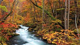 易飛網推出秋季早鳥行程。（圖／易飛網提供）