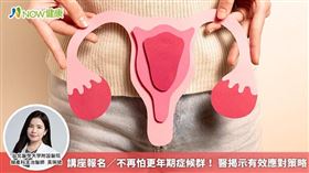 名家專用（勿用）