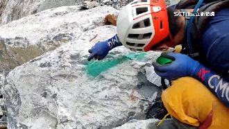 中和礦場飄異味有蒼蠅　搜救人員噴漆標記
