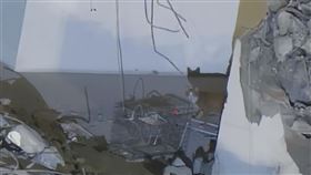 愛貓人士,動保,天王星大樓,網友,花蓮