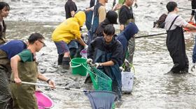 手機,節目,中興湖,日本東京電視台,中興大學