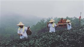 木柵忠順迎尪公巡田園！（業配勿用）