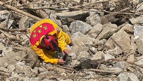 立霧溪驚見黑色大體確認為台灣獼猴。（圖／消防局提供）