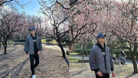 辰亦儒出遊賞櫻花。（圖／翻攝自IG／辰亦儒）