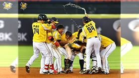 ▲中信兄弟岳東華敲出再見安打。（圖／中信兄弟提供）