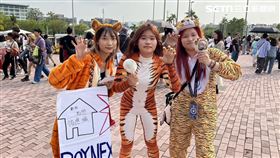 ▲《GOLDEN WAVE》外場。（圖／記者楊雅芸攝影）